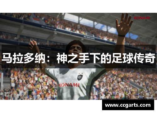 马拉多纳：神之手下的足球传奇