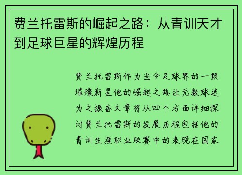 费兰托雷斯的崛起之路：从青训天才到足球巨星的辉煌历程